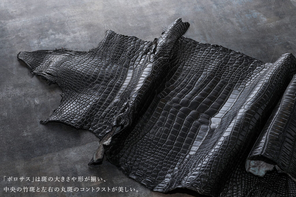 池田工芸　ポロサス