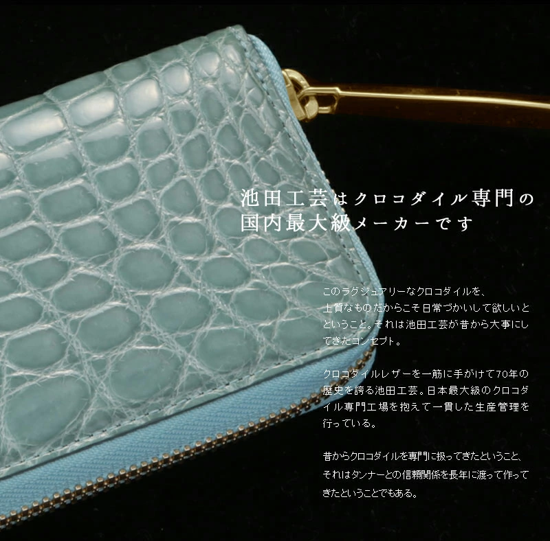 池田工芸　マルチケース