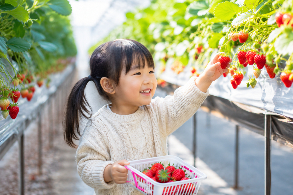 栃木宇都宮いちごの宿 ヒルナンデス−2